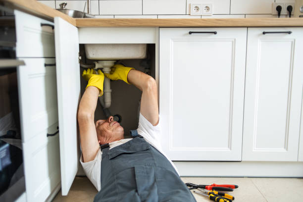 Best Plumbing Inspection Services  in Amboy, IL