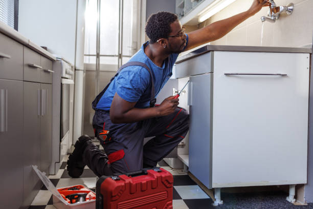 Best Sprinkler Systems  in Amboy, IL